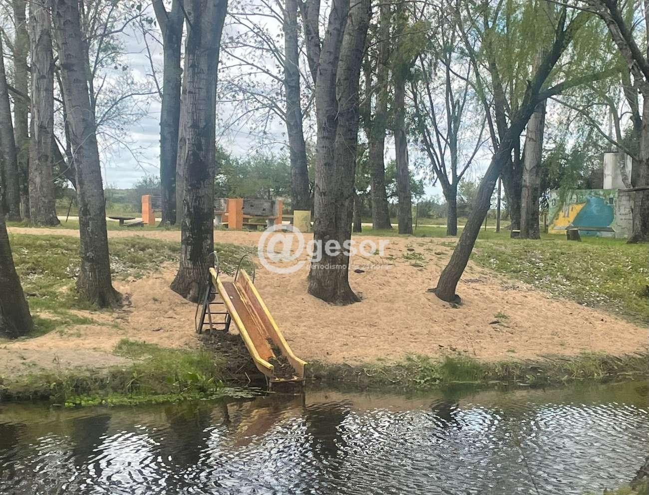 Image4